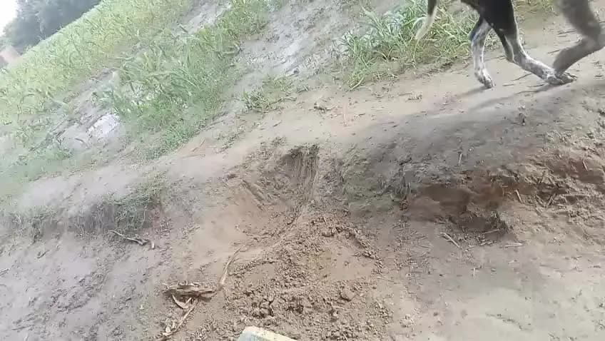 यह मामला ओसर जिला कन्नौज का है