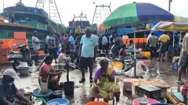 கடலூர்: முதுநகர் மீன்பிடி துறைமுகத்தில் மீன்களின் விலை அதிகம்.