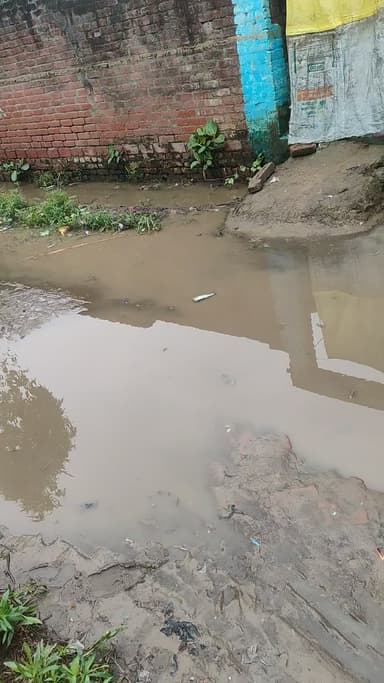 ग्राम नवदिया दिनेश में राजेश मौर्य प्रधान के 5 साल पूरे हो गए हैं काई बार बोला है कि सर्प डालवा दो मगर नजर अंदाज कर