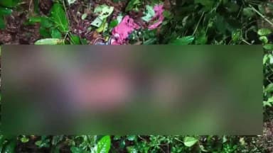 ಬೆಳ್ತಂಗಡಿ: ರೆಕ್ಯ ಗ್ರಾಮದ ನೆಲ್ಯಡ್ಕ-ಇದ್ಮಾಳ್ನಲ್ಲಿ ವ್ಯಕ್ತಿ ಸಾವು: ಆನೆ ದಾಳಿಯಿಂದ ಮೃತಪಟ್ಟಿರುವ ಶಂಕೆ