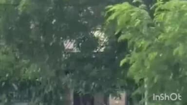 सांगानेर: जयपुर: मानसून में सूखे जैसे हालात, अगले कुछ दिन मौसम शुष्क रहने के आसार