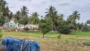 சூளகிரி: 80 ஆண்டுகளாக அடிப்படை வசதிகளின்றி தவிக்கும் ஆண்டியப்பன்கொட்டாய் கிராம மக்கள்: சாலை, பேருந்து மற்றும் செல்போன் கோபுரம் அமைக்க கோரிக்கை