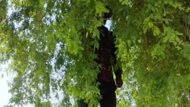 छत्तरगढ़: आवा में 30 वर्षीय युवक ने फांसी लगाकर की आत्महत्या, पुलिस जांच में जुटी