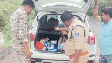 पोहरी: पुलिस ने शिवपुरी-श्योपुर हाइबे पर की बाहनो की सघन चेकिंग,1 दर्जन बाहनो पर की चलानी कार्यवाही