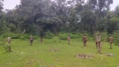मंडला: कान्हा टाइगर रिजर्व के बफर क्षेत्र में बाघ के हमले से महिला की मौत, हाथी गश्त व कान्हा टीम मुस्तैद