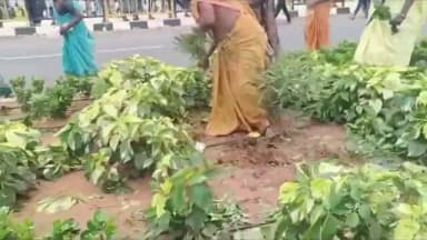 పార్వతీపురం: భోగాపురం ఎయిర్పోర్టు మొక్కలను క్షణాల్లో పీకి తీసుకుపోతున్నారు