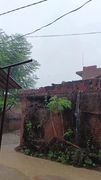 pindokha gaao ki baarish