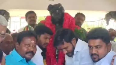 திருச்சி: தீரர் சின்னமலையின் 212 நினைவு தினத்தை முன்னிட்டு ஆட்சியரகம் அருகே உள்ள அவரது சிலைக்கு மலர் மாலை அணிவித்த தமிழக வெற்றிக் கழகத்தினர்