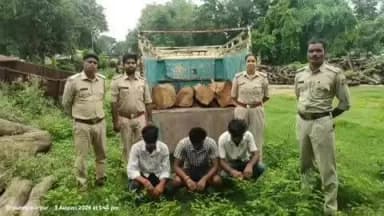रामानुजनगर: छिंदिया जंगल से अवैध सागौन परिवहन पर कार्रवाई, पिकअप समेत 2 आरोपी गिरफ्तार