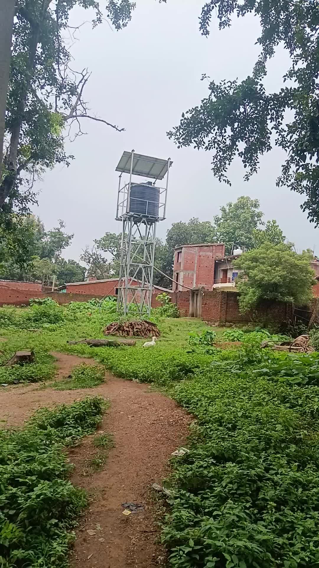 महुबना पंचायत में पानी टेकी लगवाया था महुबना गांव में बिचौलियों दुलारा कब्जा कर रखा है