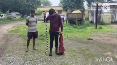 कटघोरा: कटघोरा थाना परिसर में निकला जहरीला अहिराज, रेस्क्यू के बाद सभी ने राहत की सांस ली