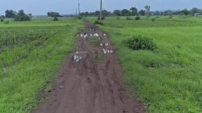is video ko sarkar ke pass jaru bejo taki hamre gavu me sadka ban jye jay johar jay adiwasi jay bhil pardesh