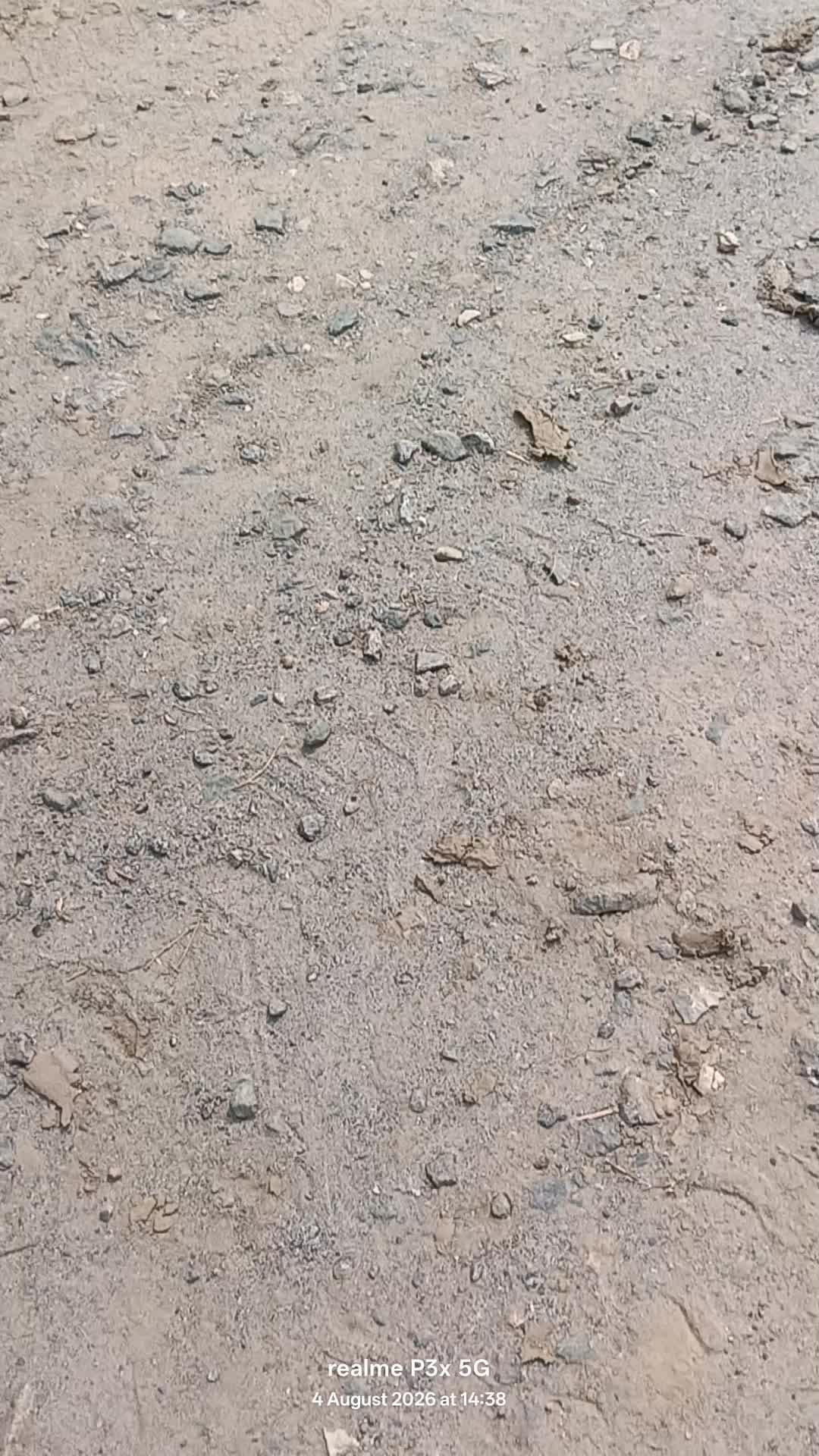 babura ganga pul ke pass awedh maati Kate ho raha hai