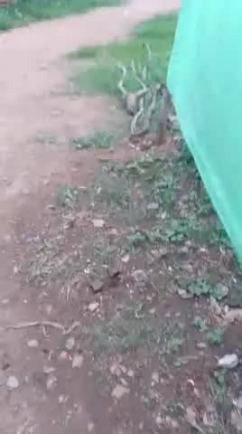 sonauchand banjare ko dangiya leke jaan se marne ke liye dauta tha Ashok nam ke yuvak ne