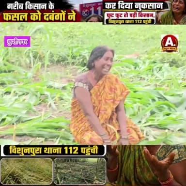 किसान की खड़ी फसल को गांव के कुछ दबंगों ने नुकसान पहुंचा देखकर रो पड़े किसान लाखों की फसल बर्बाद कर दिया गया है