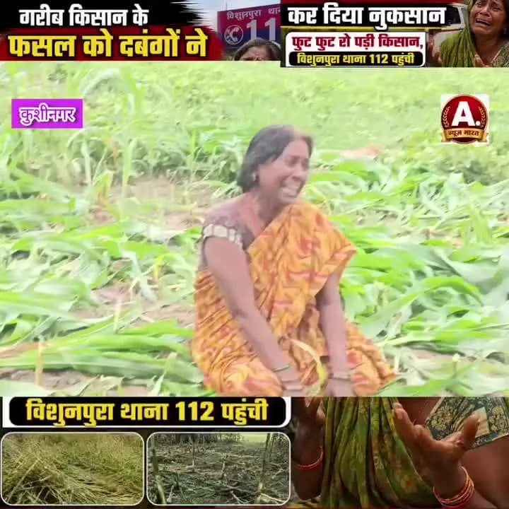 किसान की खड़ी फसल को गांव के कुछ दबंगों ने नुकसान पहुंचा देखकर रो पड़े किसान लाखों की फसल बर्बाद कर दिया गया है