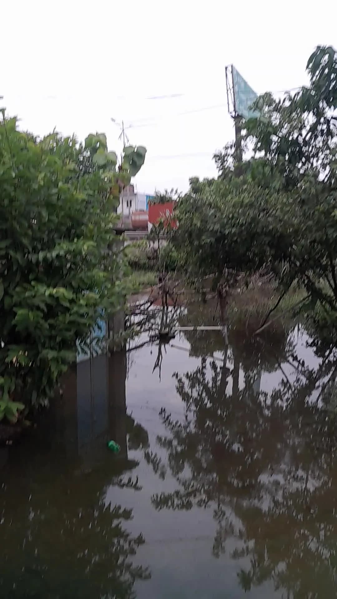 कालेसरजीरोपवाइनटपरपानीलगाहै