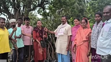 नारायणपुर: ग्राम पंचायत करलखा में 'एक पेड़ माँ के नाम' अभियान के तहत हुआ वृहद वृक्षारोपण