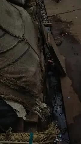 मांगरोल कर के वार्ड नंबर 10 में नालियां सदन मार रही है कूड़ा जाम हो रहा है ना सफाई करने वाले सफाई कर्मचारी आ रहे हैं