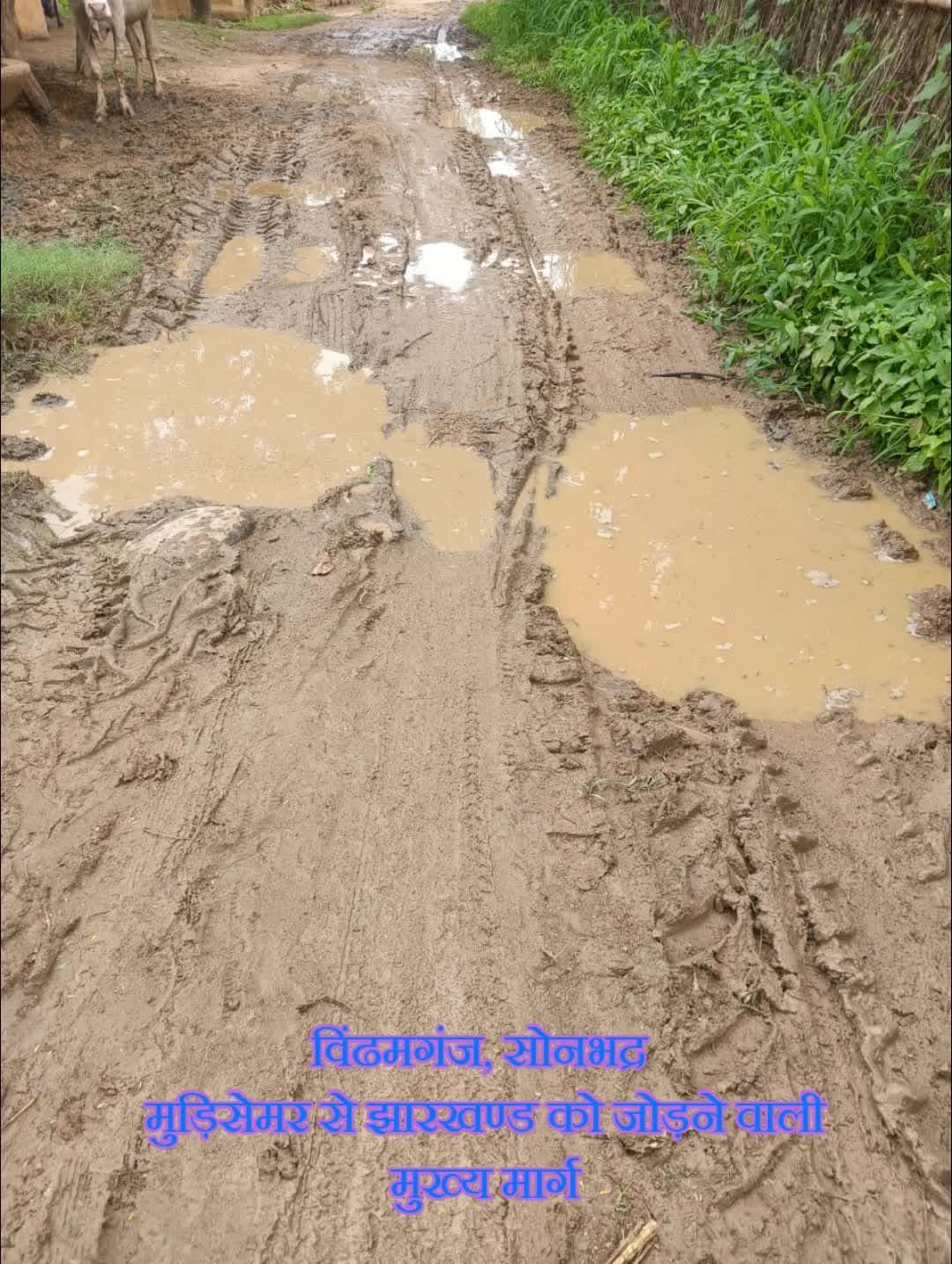 जिला प्रशासन, एवं उच्च अधिकारियों से पक्की सड़क का निर्माण की मांग।