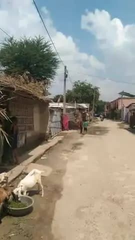 रेखा देवी पति उधो दास रोज सुबह साम गाली गलौज करते हैं
यह विडियो सम्राट चौधरी बिहार सरकार तक पहुंच दे#