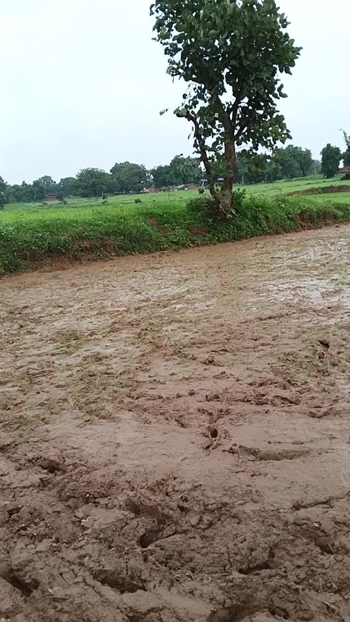 ghaghari babhni
salyatola gram ghaghari