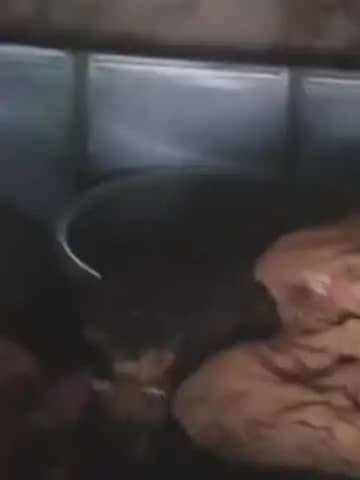 फतेेहपुर: खेत में धान की रखवाली कर रहे किसान के घर में लाखों की चोरी, बाहर सोते रहे परिजन, चोर जेवर-नकदी लेकर फरार