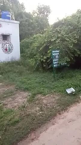 mehdauli me hospital me jungle