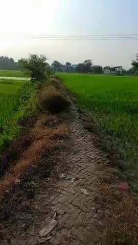 ग्राम कुदारन खास पोस्ट बांसी जिला सिद्धांत