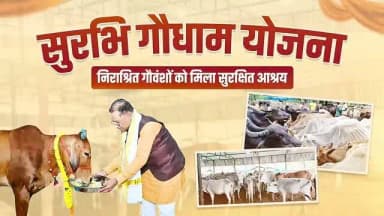 निराश्रित पशुधन को संरक्षण, ग्रामीण अर्थव्यवस्था का संवर्धन
सुशासन सरकार की सुरभि गौधाम योजना के तहत प्रदेश में 1,460 गौधाम स्थापित करने का लक्ष्य रखा गया है।
इन गौधामों के माध्यम से निराश्रित पशुओं को सुरक्षित आश्रय और बेहतर देखभाल उपलब्ध कराने के साथ गौ-संरक्षण को बढ़ावा दिया जाएगा।
यह पहल पशुधन संरक्षण के साथ ग्रामीण अर्थव्यवस्था और कृषि व्यवस्था को भी मजबूती देने की दिशा में महत्वपूर्ण कदम है।
#सुरभि_गौधाम_योजना #गौ_सेवा #सुशासन_सरकार #Chhattisgarh #RuralEconomy RuralDevelopment
हमारे व्हॉट्सऐप चैनल से जुड़ने के लिए लिंक पर क्लिक करें...
https://whatsapp.com/channel/0029VbBdXyRJf05ivBgauG3V
@vishnudeosai
@chhattisgarhcmo