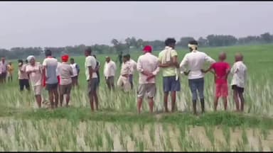 इटाढ़ी: लापता युवक का खेत में मिला शव, हत्या की आशंका से मचा हड़कंप