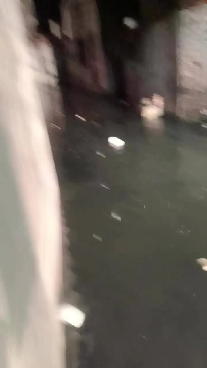 @ ye hai Jagadhri sarwar maholle ka haal or Jagadhri nagar nigam ki kaamchori safai kar