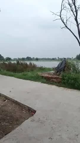 पब्लिक#वायरल वीडियो
🥹🥹💔💔🥀🔞