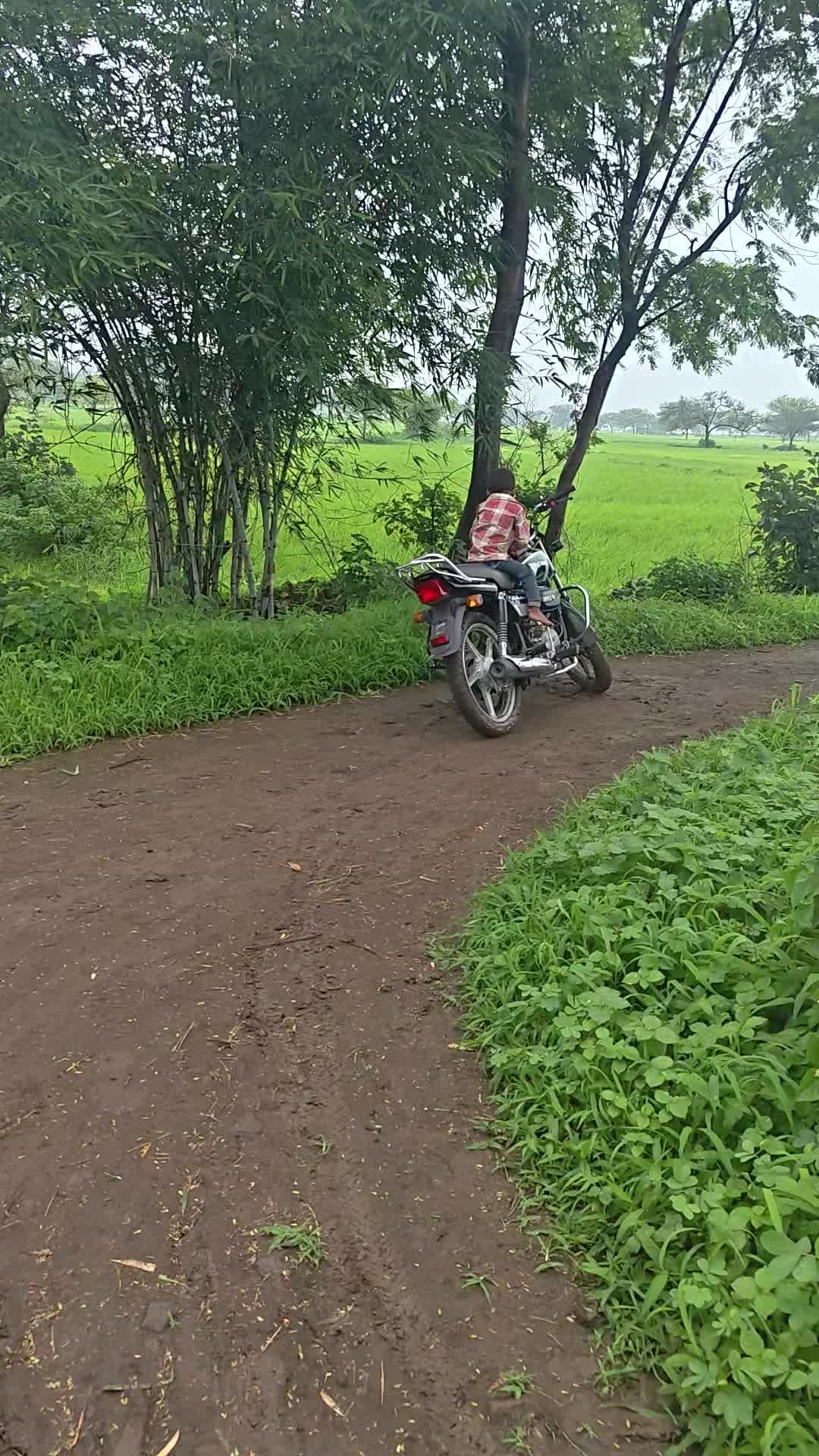 ग्राम पंचायत गोपालपुरा जिल बांसवाड़ा तेसील कुशलगढ़ ग्राम पंचायत गोपालपुरा में सड़क का अभी तक कोई ठिकान नहीं है