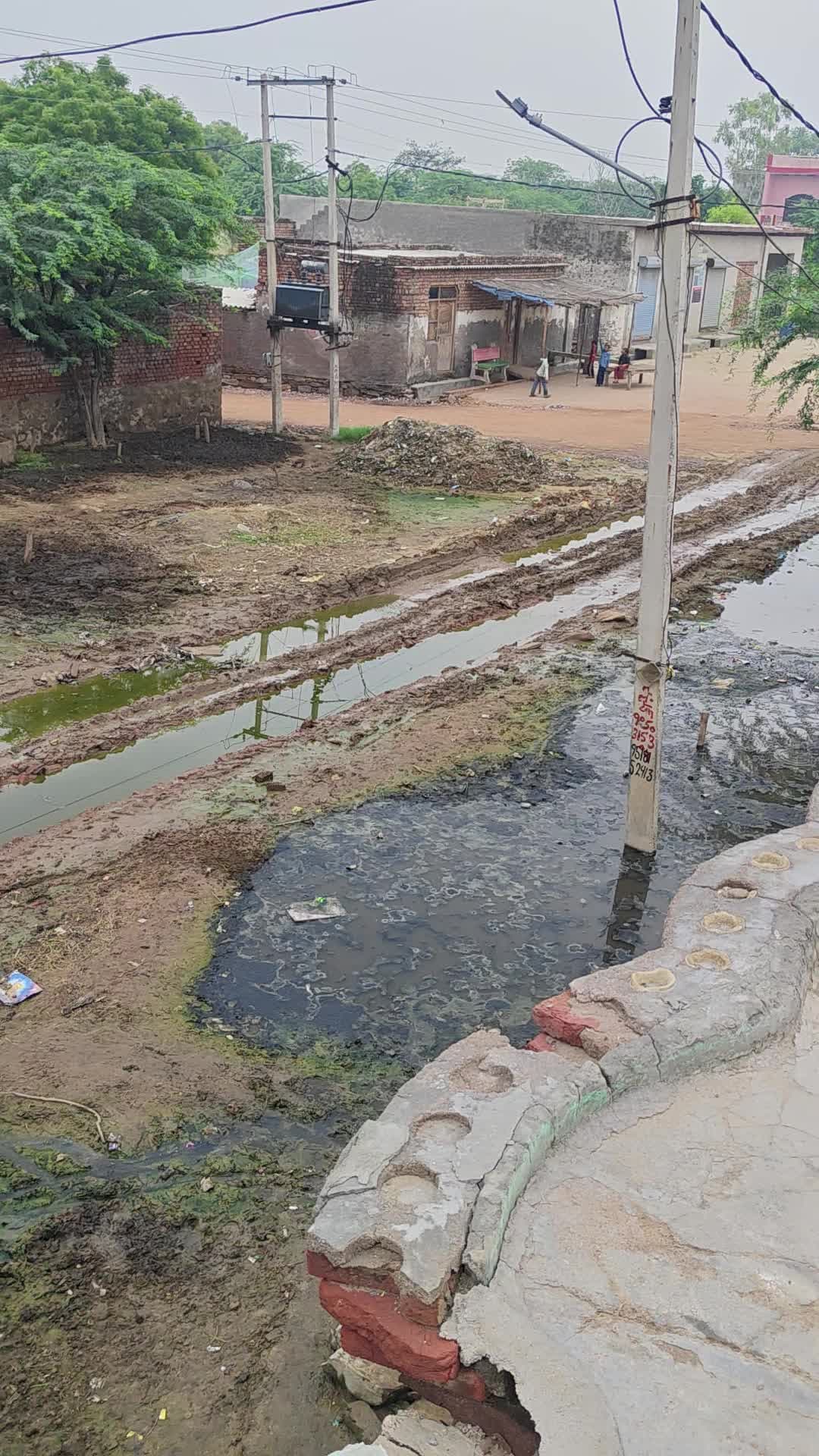 VPO Chhainsa Tehsil Hathin District Palwal Haryana