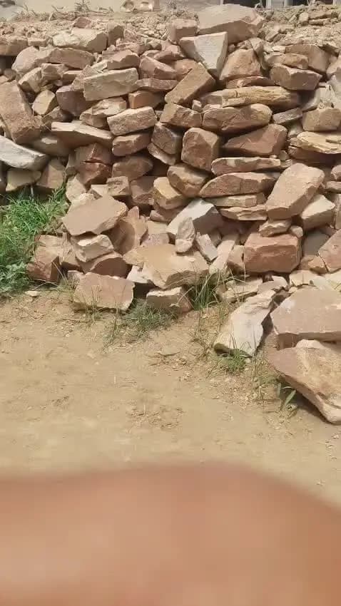jeela murena tihsel savalgd tana tetra geran manpur
