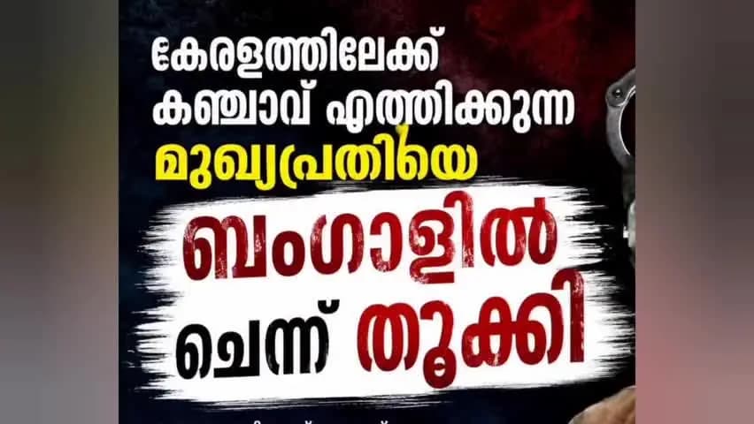 കണയന്നൂർ: കേരളത്തിലെ കഞ്ചാവ് എത്തിക്കുന്ന മുഖ്യപ്രതിയെ ബംഗാളിൽ ചെന്ന് തൂക്കി
