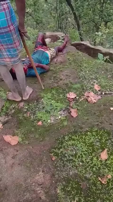 भालू के हमले से ग्रामीण की मौत :- सितकालो