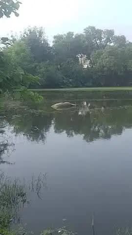 mere gaon basdeomai post urmura
ke kaal ke ghanta h
basdeomai