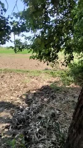 buknari gaya ji Bihar ramvilas singh jamin napne aa rahe hai isiliye hamlog yaha baithe hai pairaiya se nikal chuke hai
