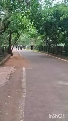 କଟକ ସଦର: ହସ୍ତୀ ଦିବସରେ ନନ୍ଦନକାନନ ପ୍ରାଣୀ ଉଦ୍ୟାନରେ ମୁଖ୍ୟ ଆକର୍ଷଣ ଆଶା ଓ ଲିଶା