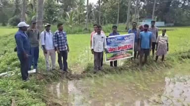 విజయనగరం అర్బన్: గంట్యాడ మండలంలో సస్యరక్షణ చర్యలపై రైతులకు మండల వ్యవసాయ అధికారి శ్యాం కుమార్ అవగాహన