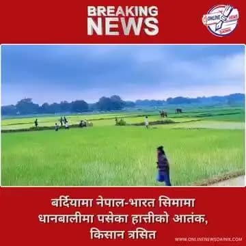 #हांथी का तांडव देखो 🐘🐘
बर्दीपामा में हांथी ने जानवर भगाओ दौल को रंदने की कशिश में है नेपाल की वीडियो है रांची झारखण्ड