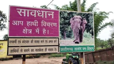 फरसाबहार: विश्व हाथी दिवस पर तपकरा में संगोष्ठी आयोजित, विद्यार्थियों को किया गया जागरूक