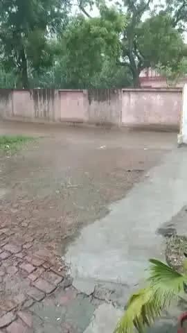 डुमरियागंज: डुमरियागंज क्षेत्र में हुई बारिश से किसानों के चेहरे पर राहत की झलक