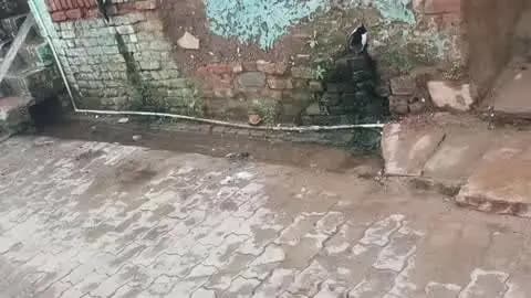 बंद नाली से राहगीर परेशान
