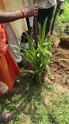 शाहजहांपुर: दिलावरपुर मोड़ पर विधायक अरविन्द कुमार सिंह ने किया पौधारोपण, दिया पर्यावरण संरक्षण का संदेश