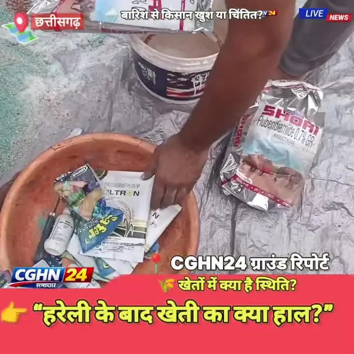हरेली के बाद खेती खार की क्या स्थिति है?किसान अपने खेत में काम करते हुए, धान की रख रखाव#rahod #kishan chhattisgarh