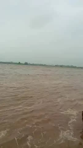 rajhura station koyal nadi me bhadh aagya hai