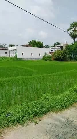 laskri pur chpara saran bihar